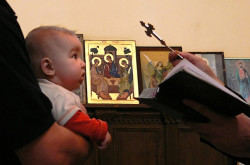 Vladimir 
Богдан 
2006-05-01 02:19:09
