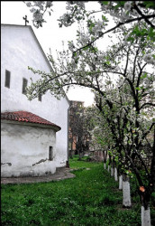 perovict 
Храм Рождества Христовог у Пироту 
2006-05-03 01:11:48