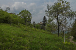 GuliVar 
Пејзаж манастира Дивљане 
2006-05-14 08:14:12