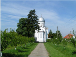 dragoj03 
Црква у селу Змињак код Шапца 
2006-05-19 00:12:46