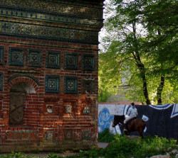 zakgil 
Horse-riding in the courtyard of an abandoned :( church 
2006-05-19 03:27:38