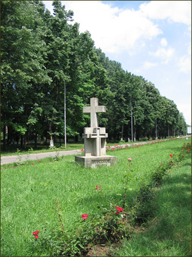 Cross - Cruce