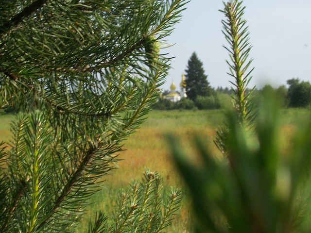 W tle cerkiew w Czarnej Białostockiej. foto 1