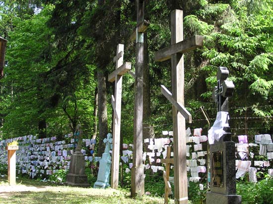 KRYNOCZKA