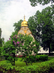 Dunyasha 
Весна в Новодевичьем 
2006-06-01 12:35:40