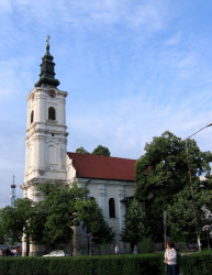Zoran Sremski 
Нови Сад, Успење 
2006-06-06 23:30:49