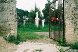 sapuric 
VRATA RAJA 
2006-06-22 17:56:55
