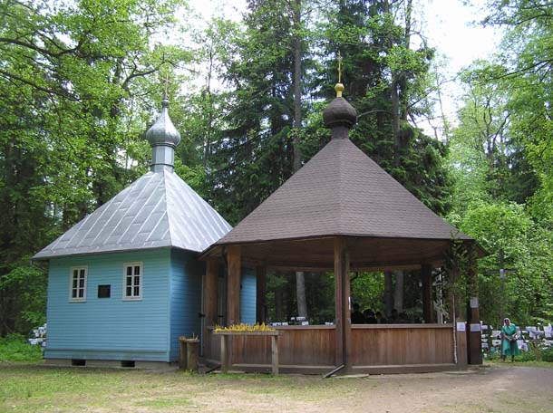 Krynoczka