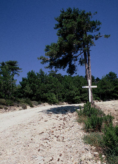 Agion Oros 2005 - Photo 25