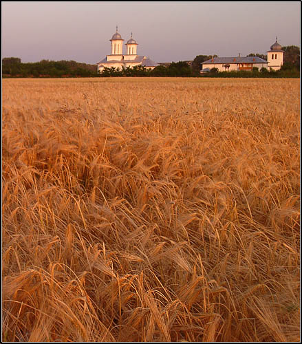 Balaciu monastery