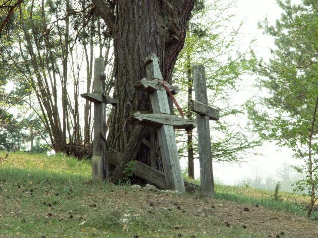 wsparcie