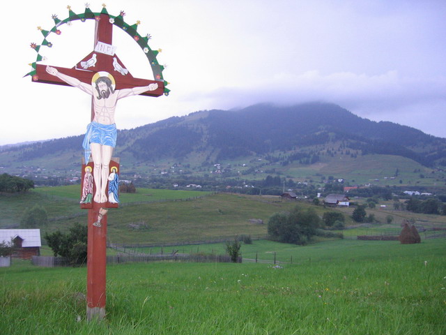 Troita
