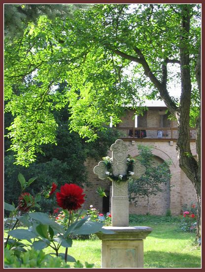 Arborele vietii