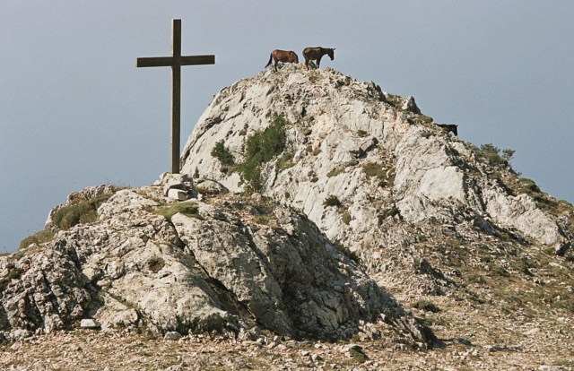 Agion Oros 2006 - Photo 6
