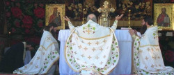 aur_lia 
Sfanta Liturghie 
2006-08-20 14:14:46