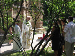 nenadkosovac 
ОТАЦ БУДА 
2006-09-24 22:30:30