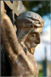 Adam Falkowski 
"Ból powoli zanika, oczy zamykam... ciemność musi się zjawić, abym w jasności się odnalazł." 
2006-09-15 20:24:36