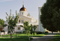 Maniek 
Orthodox Finland - Photo 1 
2006-09-19 18:41:52
