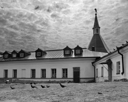 Hongor 
Валдай. Голубиный дворик. 
2006-09-19 19:25:44