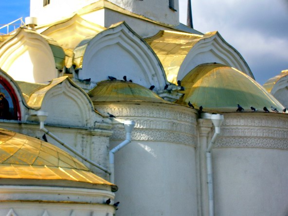 Голуби Троице-Сергиевой Лавры (2)