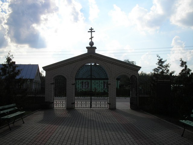 Czeremcha