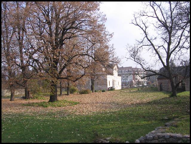 Peisaj de toamna/Autum landscape