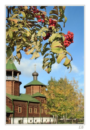 Autumn/2