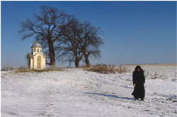 mircea_valcu 
Decisive Moment 
2006-10-10 12:59:40