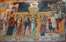 СаваД 
Ваведење, Краљева црква, Студеница 
2006-10-11 22:05:37