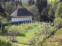 gabriel77 
Cimitirul manastirii Frasinei 
2006-10-19 15:30:43