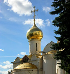 Dunyasha 
Купола Троице-Сергиевой Лавры 
2006-10-23 13:02:23