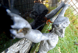 Pit_Zsak_79 
 
2006-10-24 11:20:38
