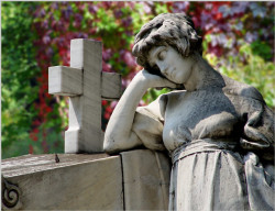 mircea_valcu 
Bellu cemetery 
2006-10-30 10:12:32