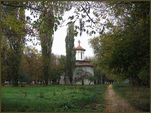 ... autumn is here...