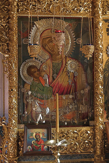 Млекопитатељница