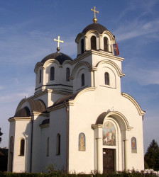 Zoran Sremski 
Хртковци - Hrtkovci 
2006-11-04 00:12:40
