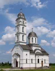 Zoran Sremski 
Љесковац - Ljeskovac 
2006-11-08 16:53:39