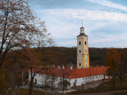 Vladimir 
Велика Ремета // Velika Remeta Monastery 
2006-11-17 02:05:20