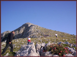 Arsenije 
In a way to church ! ! ! 
2006-11-20 00:30:38
