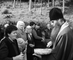 jovana 
У славу и част Пресвете Богородице 
2006-11-22 22:16:53