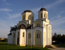 Zoran Sremski 
Никинци - Nikinci 
2006-11-23 15:31:54
