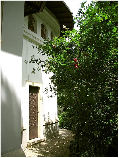 Darvari skete, near the church