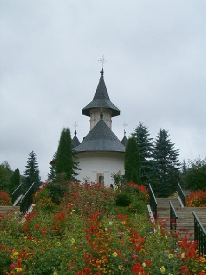 Old church from Sihastria