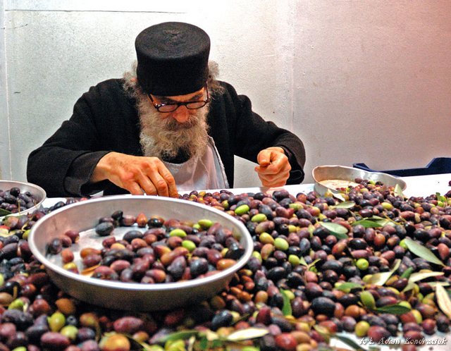 Iera Moni Paraklitu - zbiory oliwek