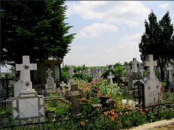 mihaela 
+ + Orthodox cemetery + + 
2006-12-03 23:48:28