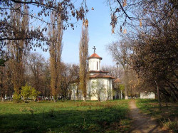 mihaela 
Biserica Sfantul Grigorie Palama 
155 
2006-12-20 02:46:57