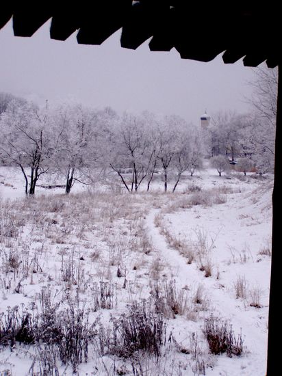 Pskov, 2006