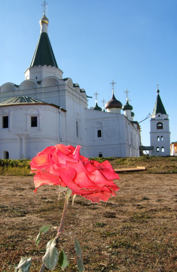 Monastery Rose/Монастырская роза