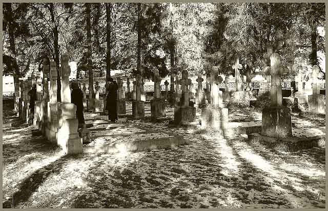 Cemetery from Putna