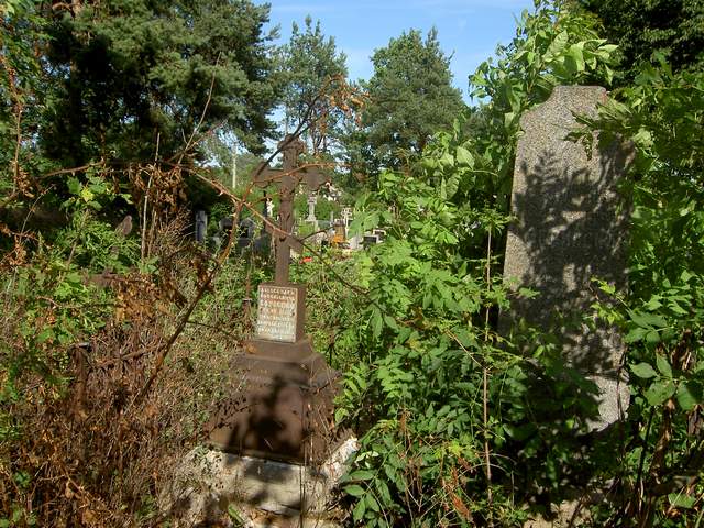 Ocalić od zapomnienia